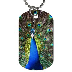 Peacock Bird Feathers Pheasant Nature Animal Texture Pattern Dog Tag (two Sides) by Bedest