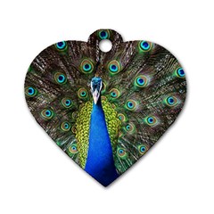 Peacock Bird Feathers Pheasant Nature Animal Texture Pattern Dog Tag Heart (one Side) by Bedest