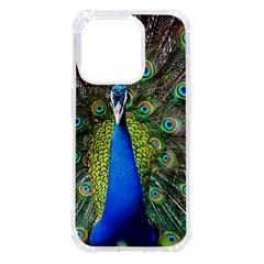 Peacock Bird Feathers Pheasant Nature Animal Texture Pattern Iphone 14 Pro Tpu Uv Print Case by Bedest