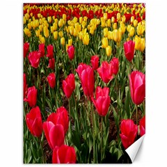 Yellow Pink Red Flowers Canvas 36  X 48  by Azkajaya