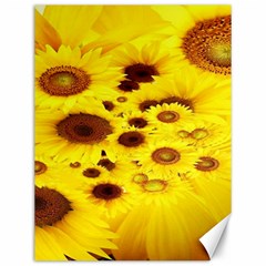 Beautiful Sunflowers Canvas 12  X 16  by Ket1n9