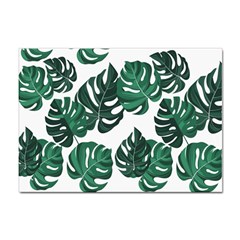 Illustrations Monstera Leafes Sticker A4 (10 Pack) by anzea