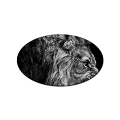 Angry Male Lion Wild Animal Sticker (oval) by Loisa77