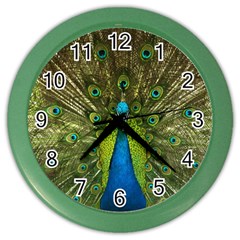 Peacock Feathers Bird Plumage Color Wall Clock by Perong