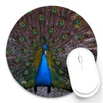 Bird Peacock Feathers Round Mousepad Front