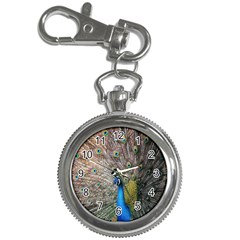 Peacock Bird Animal Peafowl Key Chain Watches by Perong