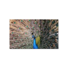 Peacock Bird Animal Peafowl Sticker Rectangular (10 Pack) by Perong