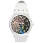 Peacock Bird Animal Peafowl Round Plastic Sport Watch (M) Front