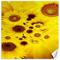 Beautiful Sunflowers Canvas 16  X 16  by Ket1n9