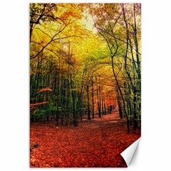 Forest Woods Autumn Nature Canvas 20  X 30  by Proyonanggan