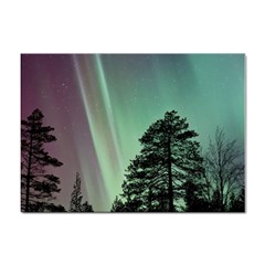 Silhouette Of Aurora Borealis Sticker A4 (100 Pack) by Bedest