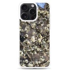 Pear Tree In Full Bloom Iphone 15 Pro Max Tpu Uv Print Case by ExtraAwesomeSauce